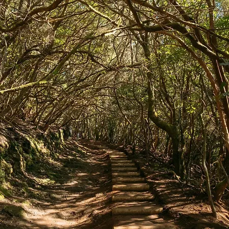 El Atico Parosa 'con Vistas Al Mar' Bajamar (La Laguna)