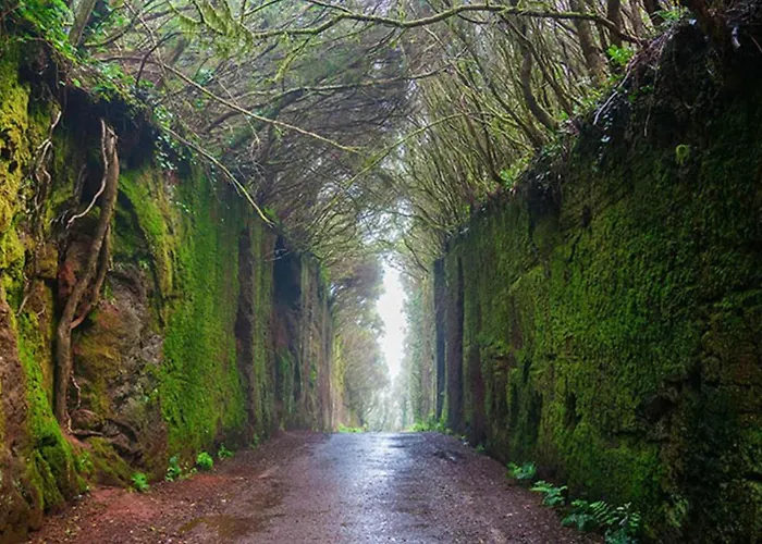 アパート El Atico Parosa 'con Vistas Al Mar'