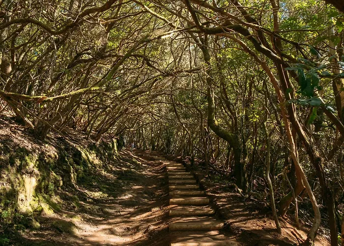 El Atico Parosa 'con Vistas Al Mar' バハマル